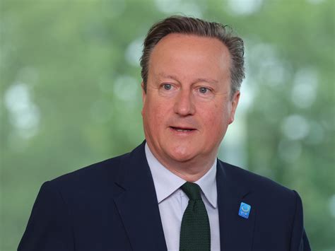 David Cameron Says India Has Credibility To Mediate In Ukraine War