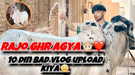 Rajo Ghr Agya 🙊 ️ Lakin 10 Din Bad Vlog Uploade Kar Raha Sorry 🥺