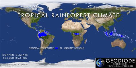 Tropical Rainforest (1) – Geodiode