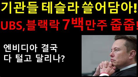 기관들 테슬라 쓸어담았다 UBS 블랙락 JP 모건등 대형기관들 7백만주 줍줍 개미가 팔면 조용히 쓸어담은 기관들 엔비디아