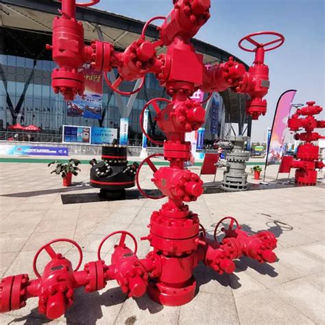 Well Head Assembly 3000 Psi Drilling And Well Completion Wellhead Christmas Tree Buy Api 6a