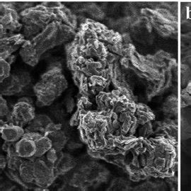 Sem Observations Of A Powder Of Zrc Bpdc Showing The Heterogeneous