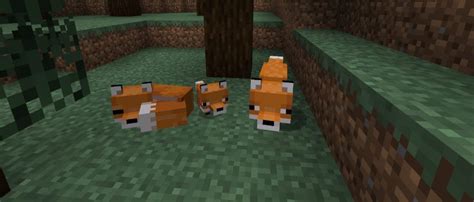 Minecraft: How To Tame Foxes - Twinfinite