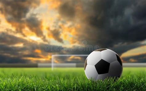 Soccer Ball on Green Grass with Sunset Background