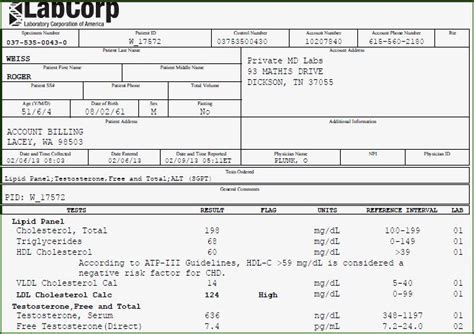 Labcorp Printable Fake Negative Std Test Results Form