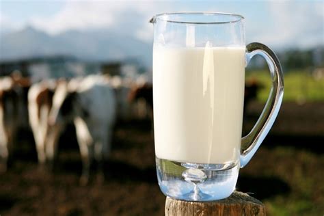 Can You Drink Soy Milk During Pregnancy New Health Advisor