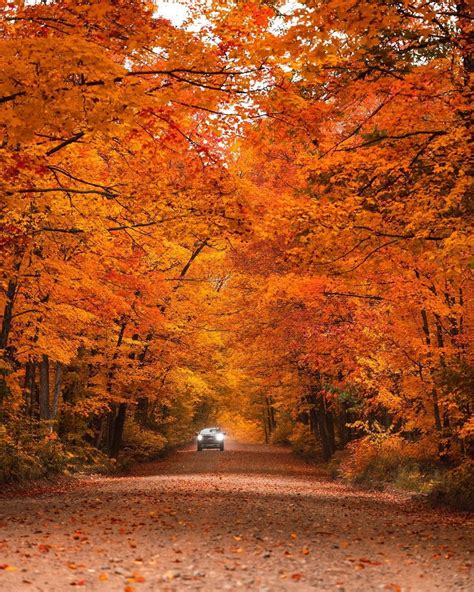 11 Michigan Towns With Stunning Fall Foliage