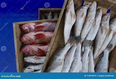 Fish for Sale in Korean Market Stock Image - Image of dried, fish ...