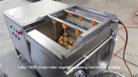 Industrial Carrot Ginger Cassava Sweet Potato Washing Peeling Machine