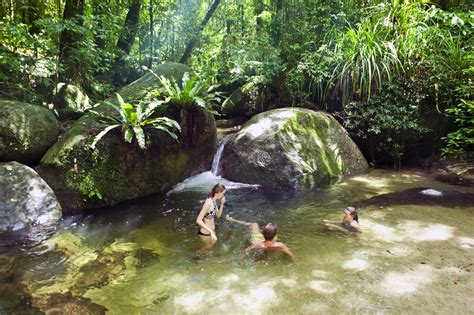 Mossman Gorge Daintree Tropic Tours