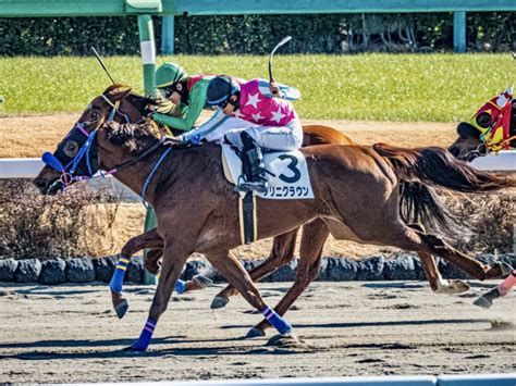 新馬戦回顧 メイクデビューの勝者達 2023年01月09日月 ウマフリ 競馬コラム＆ニュース