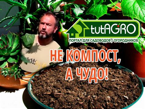 AGROzen - энциклопедия для садоводов и огородников. Рассада. Удобрения ...