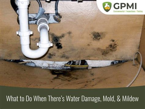 What To Do When Theres Water Damage Mold Mildew