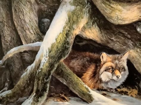 Laura Mark Finberg Onion Snow Red Fox Limited Edition Print Ebay