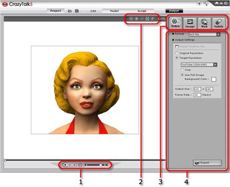 introducing  output page