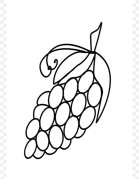 Drawing Grape Fruit Clip Art Png 745x1053px Drawing Art Black And