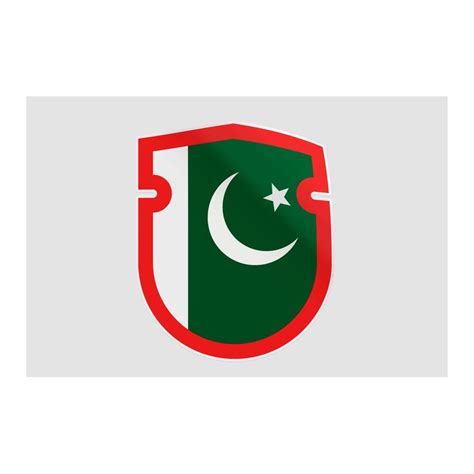 Pakistan Flag Style Sticker Decalshouse