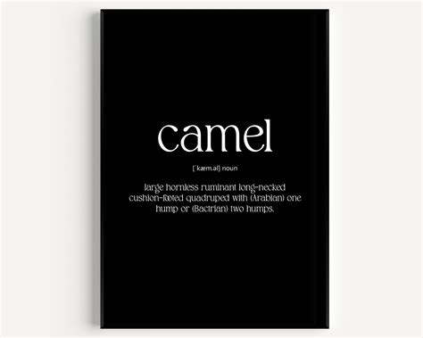 Camel Definition Print - Magic Posters
