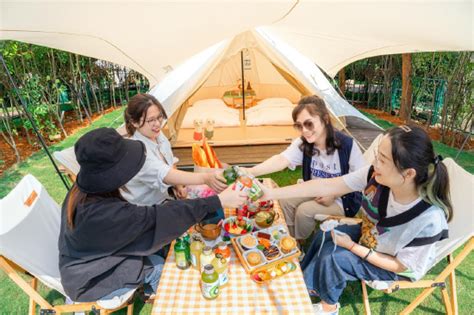 常州又添一处野奢露营基地！茅山森林世界森林露营谷打造一站式森系露营微度假新浪江苏新浪网