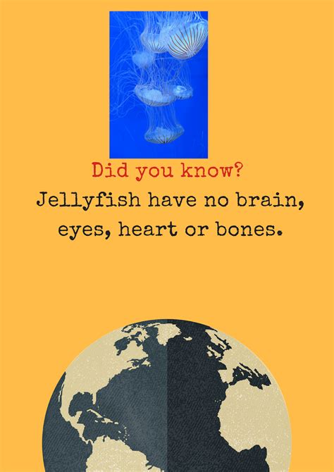 Just Facts: Does Jellyfish have brain, heart or bones?