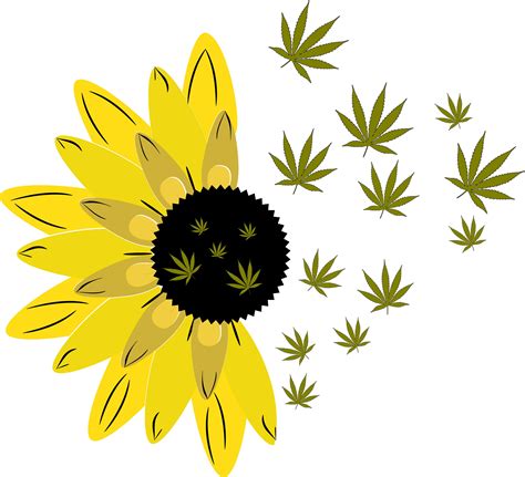 Weed Svg Cannabis Sunflower Png Svg File Cannabis Svg Png Etsy