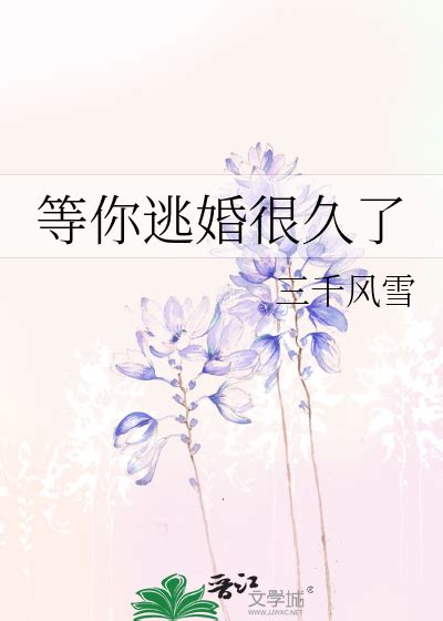 《等你逃婚很久了》三千风雪 晋江文学城 【原创小说 纯爱小说】