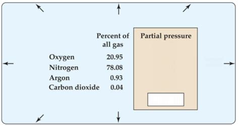 CH22 INTRODUCTION TO OXYGEN AND CARBON DIOXIDE PHYSIOLOGY Flashcards