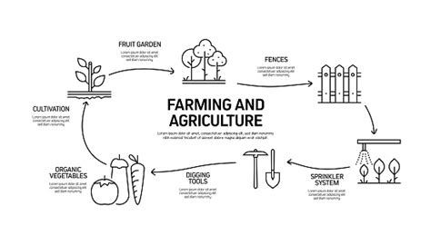 Modèle Infographie Sur Les Processus Liés À Lagriculture Et À