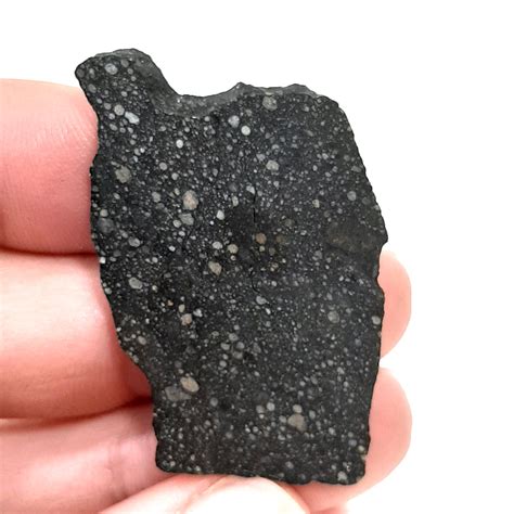 Nwa Enstatite Chondrite Meteorite Meteolovers