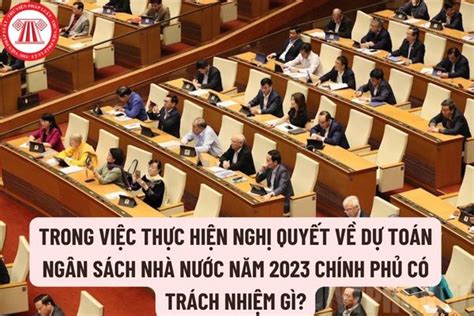 Chính Phủ Có Trách Nhiệm Gì Trong Việc Thực Hiện Nghị Quyết Về Dự Toán Ngân Sách Nhà Nước Năm