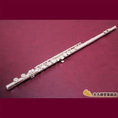 1990's SANKYO FLUTE Sankyo Flute SilverSonic Body | Reverb Canada