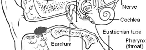 Boil (Furuncle) In The Ear Canal , ENT Consultant London MR Kiran ...