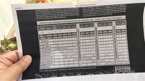 Autoflower Feeding Schedule Fox Farm