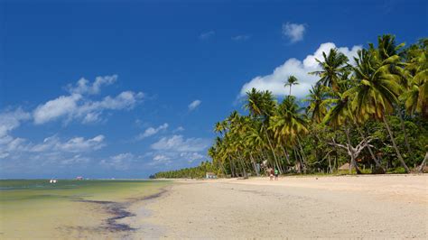 Visita Praia Dos Carneiros El Mejor Viaje A Praia Dos Carneiros