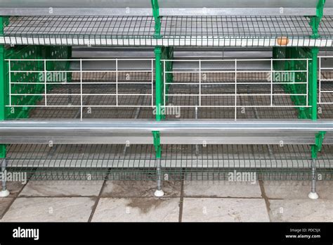 Battery Cages For Chickens At Farm Stock Photo Alamy