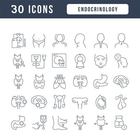 Conjunto De Iconos Lineales De Endocrinolog A Vector En Vecteezy