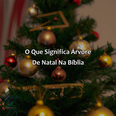 O Que Significa Árvore De Natal Na Bíblia Bíblia da Bíblia