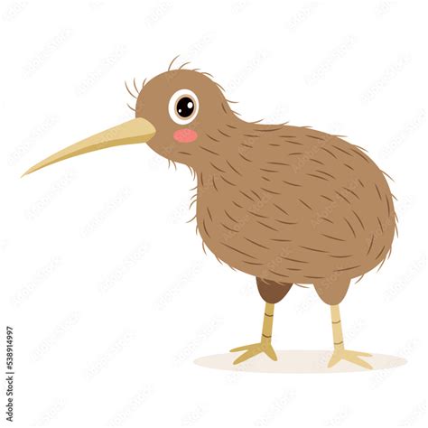 Cartoon Drawing Of A Kiwi Bird Stock Vector | Adobe Stock