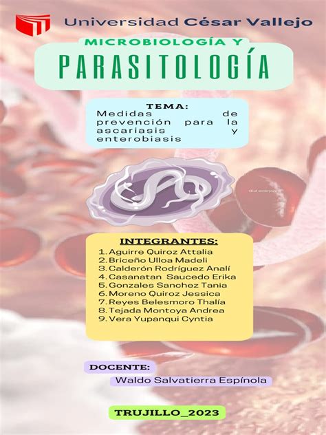 Infografia Pdf Causas De La Muerte Epidemiología