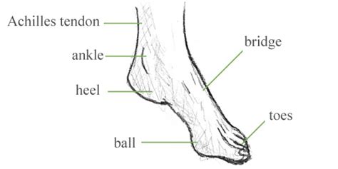 Learn To Draw Feet