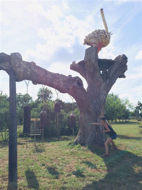 flying armadillo disc golf club 5