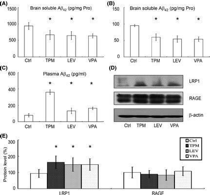 Effects Of Topiramate TPM And Levetiracetam LEV On The Transport Of