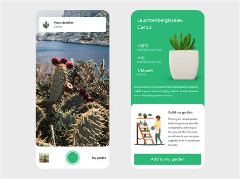 Plant Identifier by Mickael Guillaume on Dribbble