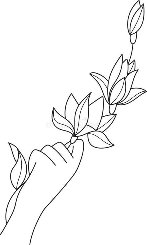 Hand Holding Flowers Outline Stock Illustration Illustration Of