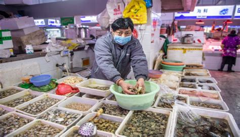 WHOs early probe into COVID-19 suggests Wuhans Huanan seafood market amplified pandemic