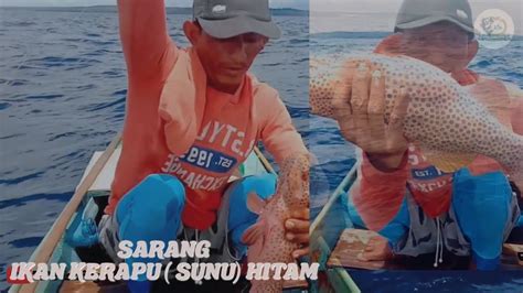 Tak Di Sangka Mancing Dispot Ini Ternyata Sarang Ikan Kerapu Sunu