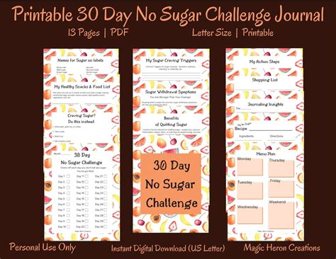 Sugar Detox 30 Day Challenge Printable No Sugar Challenge Journal