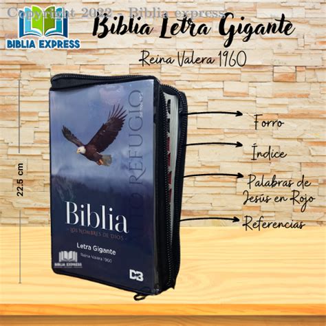 Biblia Nvi Letra Gigante Con Referencias Bordado Holman