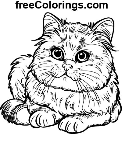 Dessin Au Trait Dart Portrait De Chat Persan Coloriages Gratuits