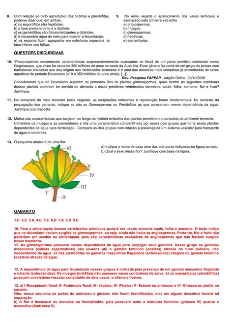 Questoes Sobre Pteridofitas - LISTA DE EXERCÍCIOS SOBRE BRIÓFITAS, PTERIDÓFITAS, GIMNOSPERMAS E ...